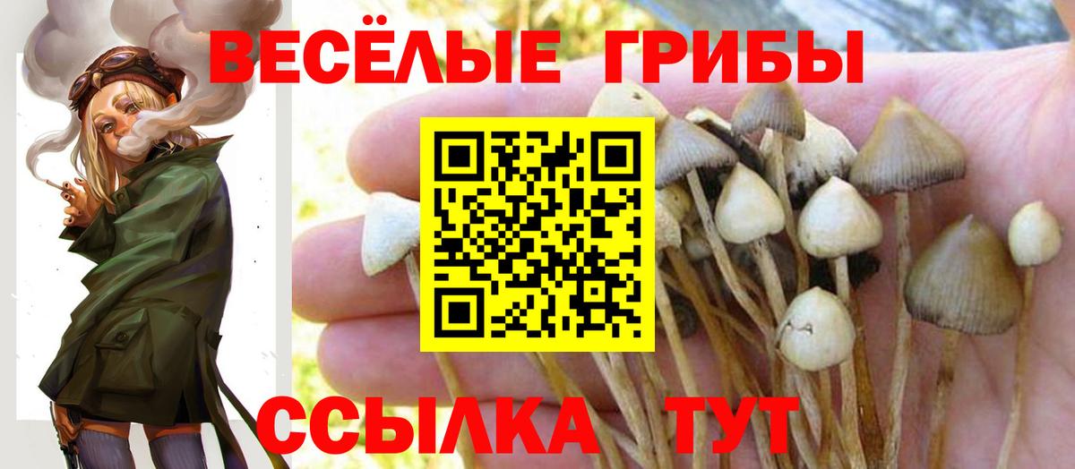 Галлюциногенные грибы прущие грибы Камышлов