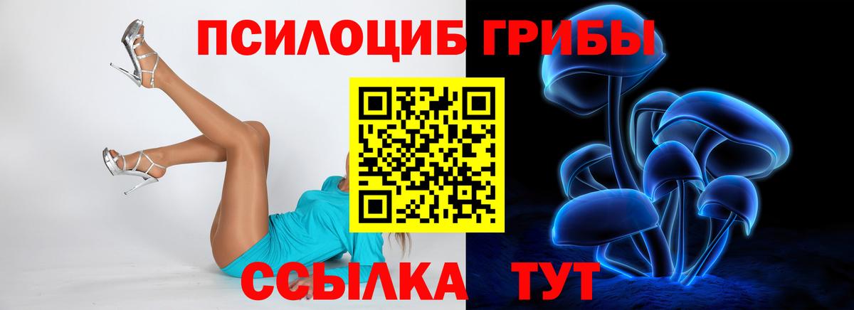 Галлюциногенные грибы ЛСД  Вход с VPN  Камышлов  Галлюциногенные грибы мухоморы 